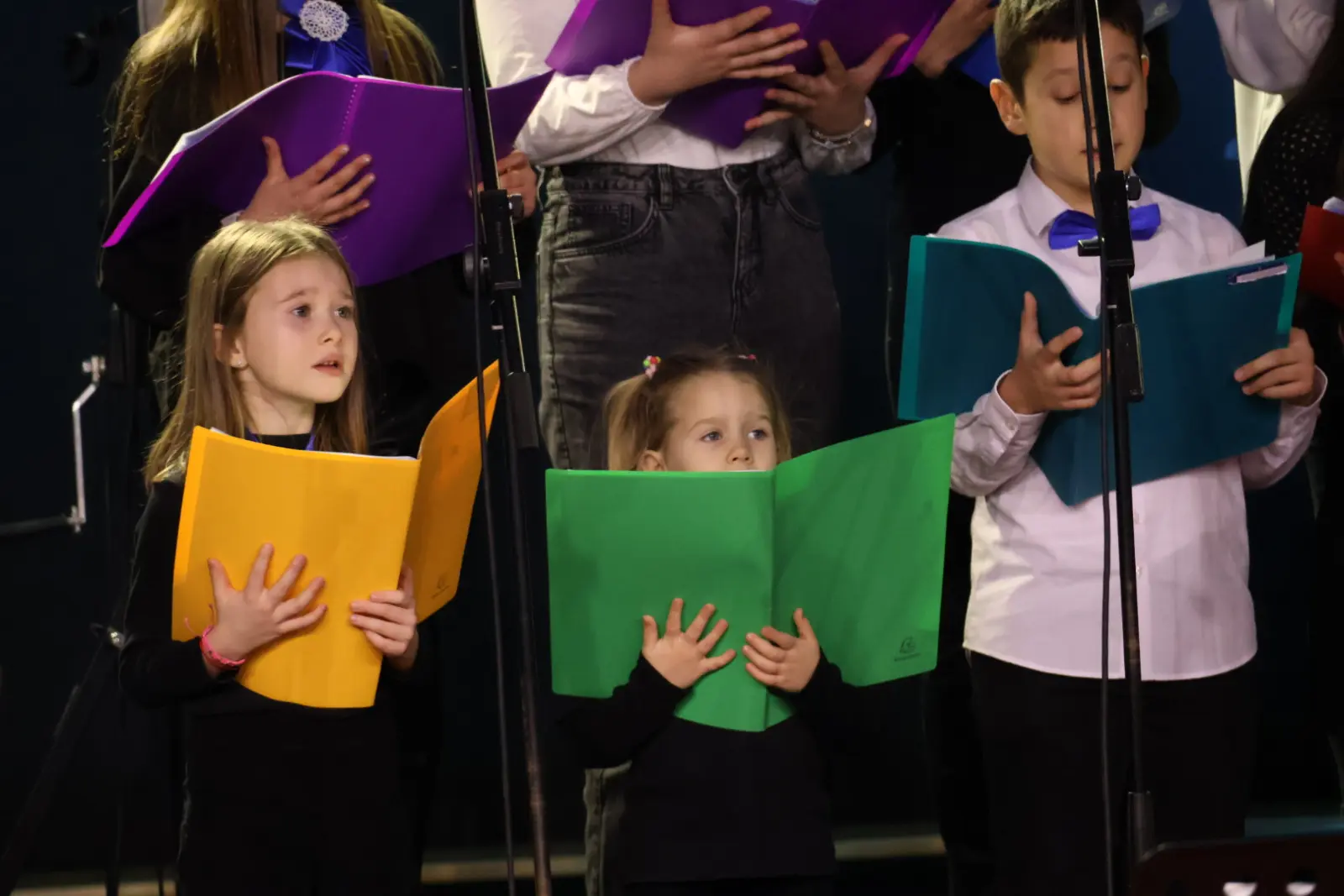 Draškovec Prijatelji svetog roka koncert Božić (60)