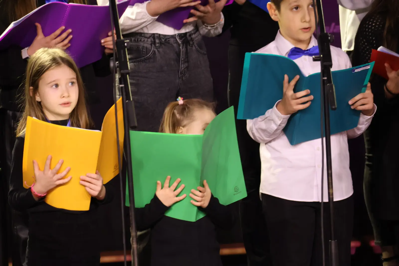 Draškovec Prijatelji svetog roka koncert Božić (61)