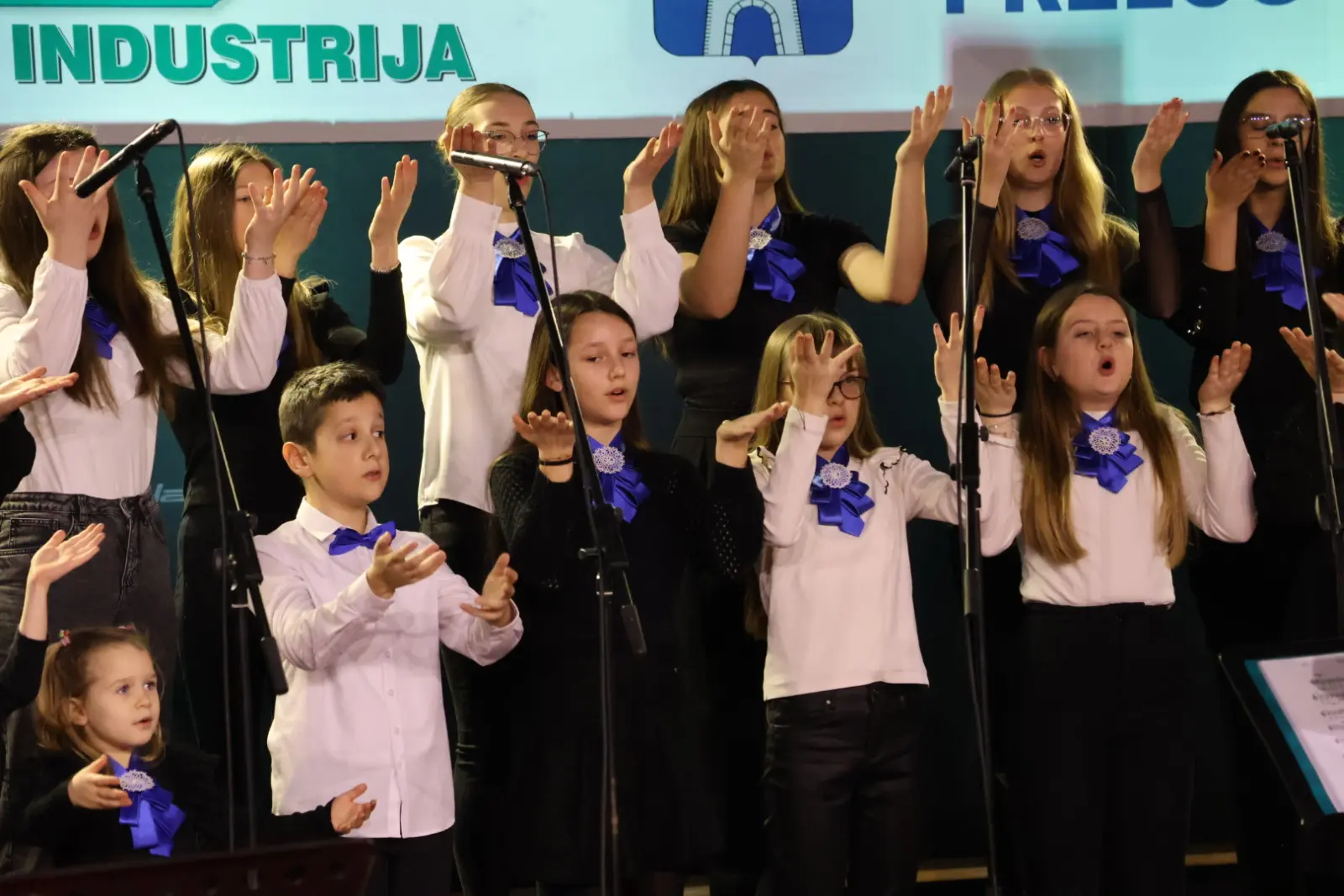 Draškovec Prijatelji svetog roka koncert Božić (67) Draškovec Prijatelji svetog roka koncert Božić (67)