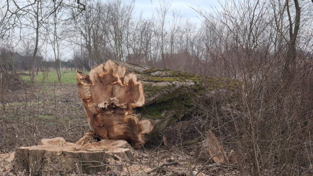 Draškovec Zelenišće nogomet 5 Draškovec Zelenišće nogomet 5