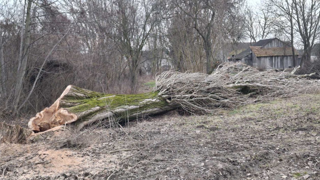 Draškovec Zelenišće nogomet 6 Draškovec Zelenišće nogomet 6