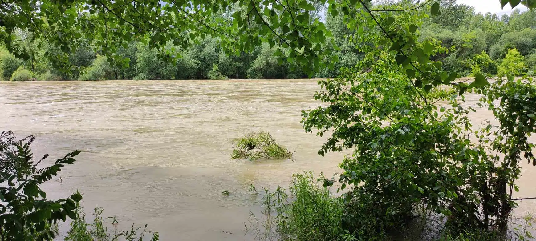 Drava kod Gornjeg Hrašćana, 2024 (1)