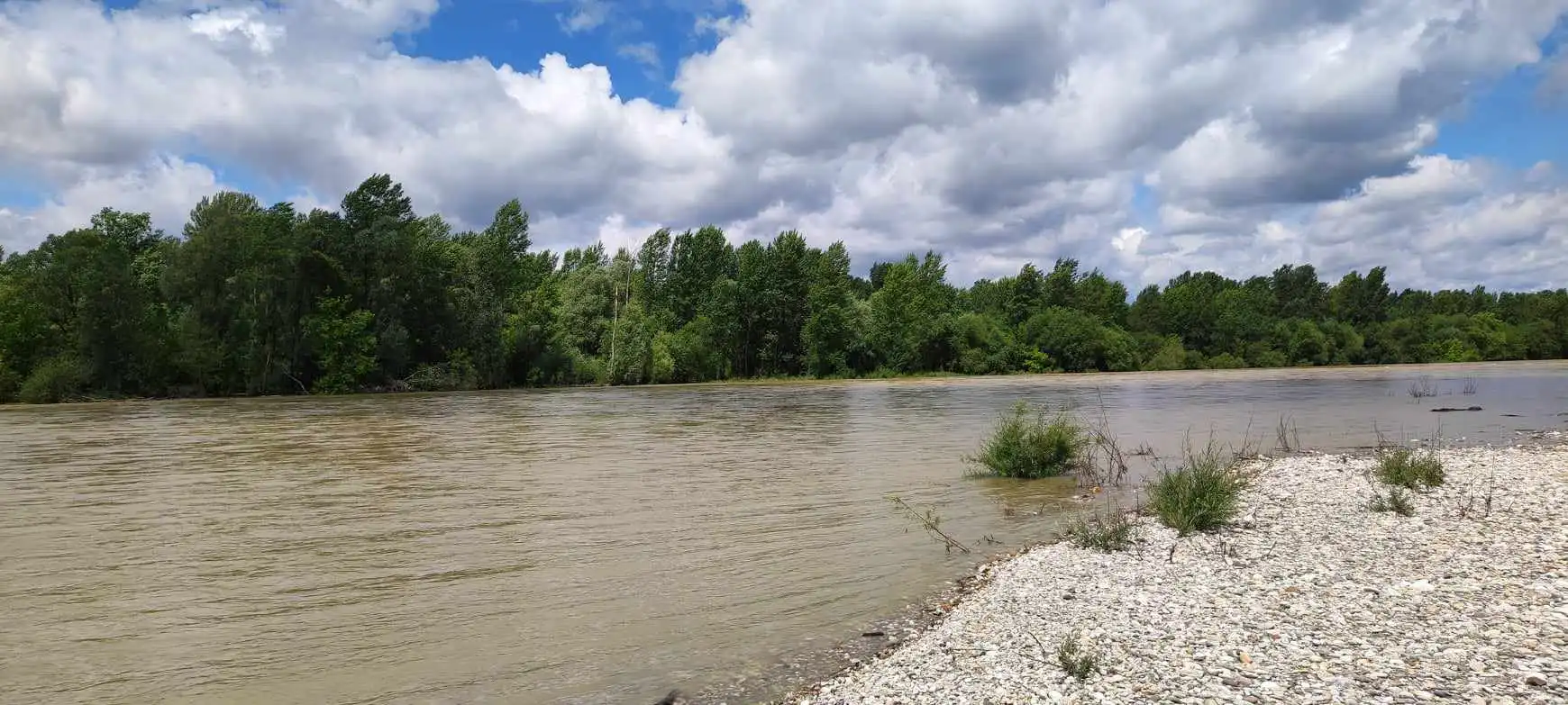 Drava kod Gornjeg Hrašćana, 2024 (2)