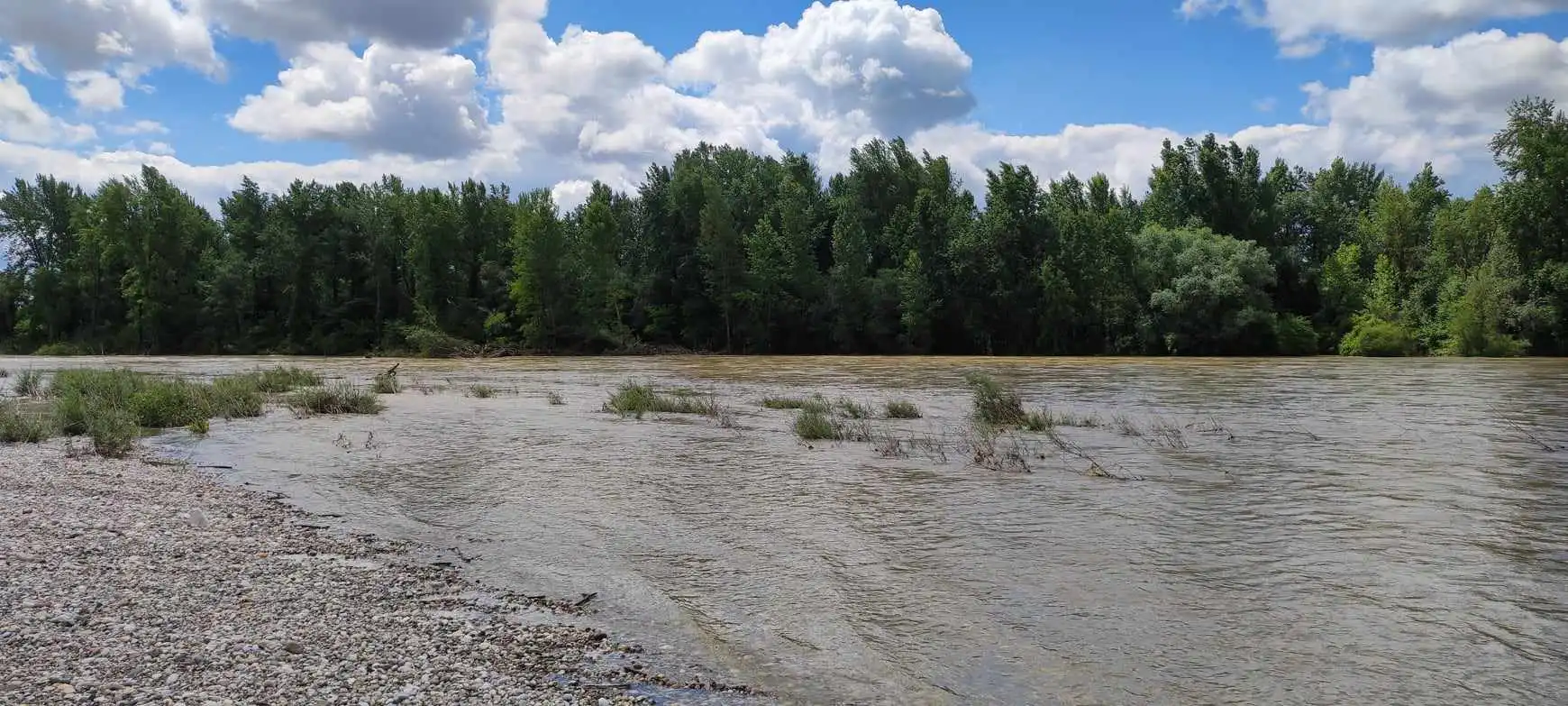 Drava kod Gornjeg Hrašćana, 2024 (3)