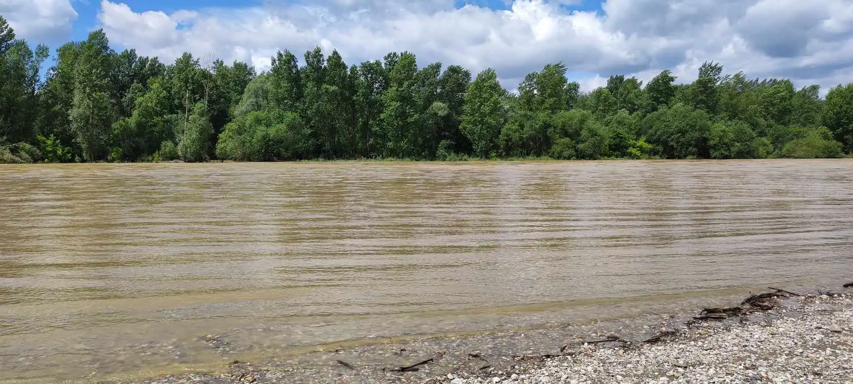 Drava kod Gornjeg Hrašćana, 2024 (4)