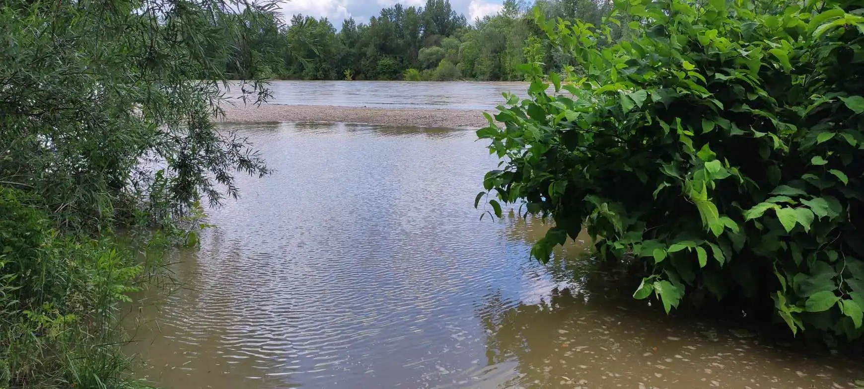 Drava kod Gornjeg Hrašćana, 2024 (6)