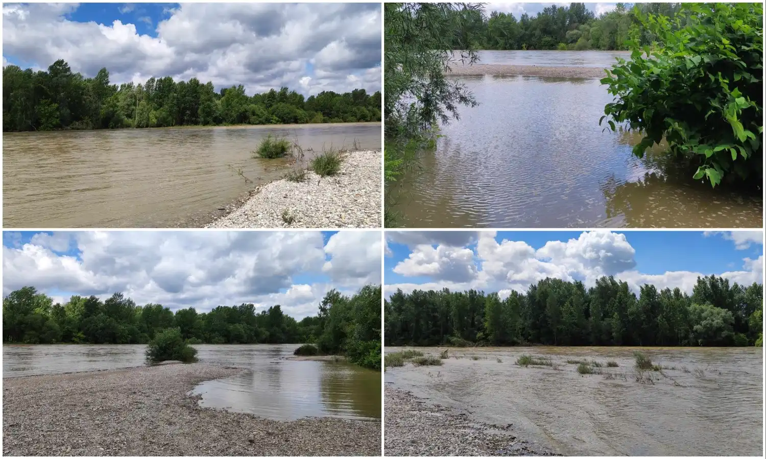 Drava kod Gornjeg Hrašćana, 2024 (7)