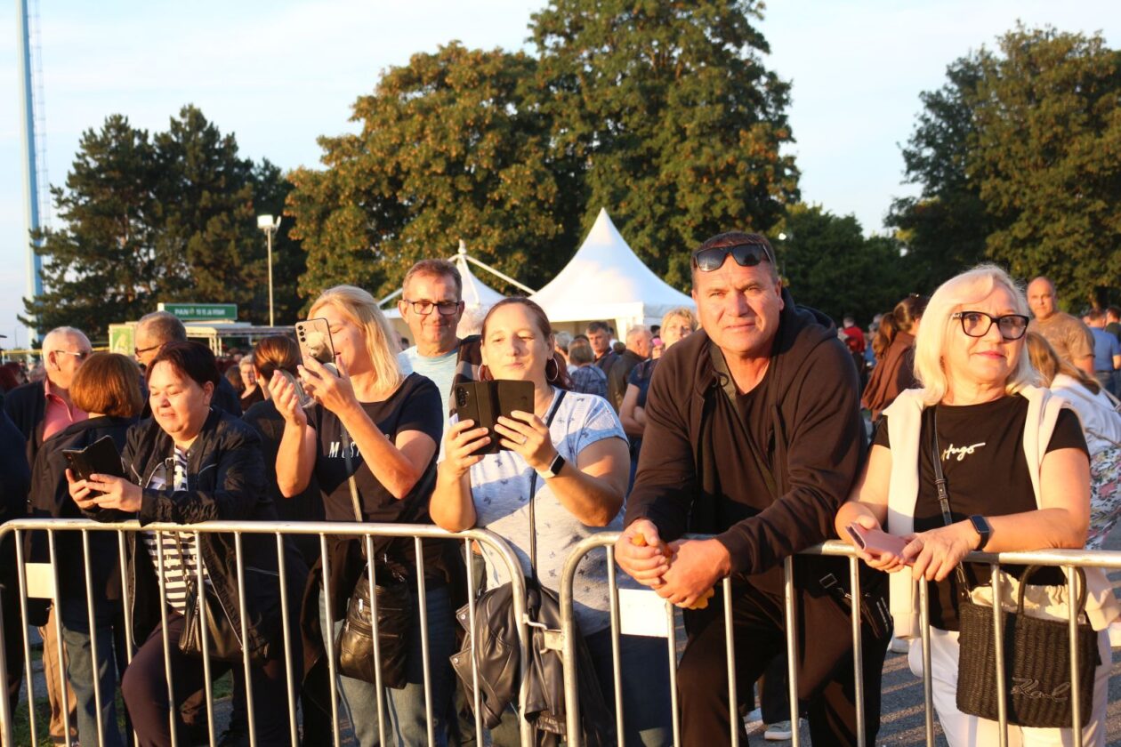 Dražen Zečić 0308 41