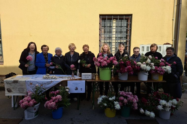 Društvo žena Sveta Marija prodaja katruža (6)