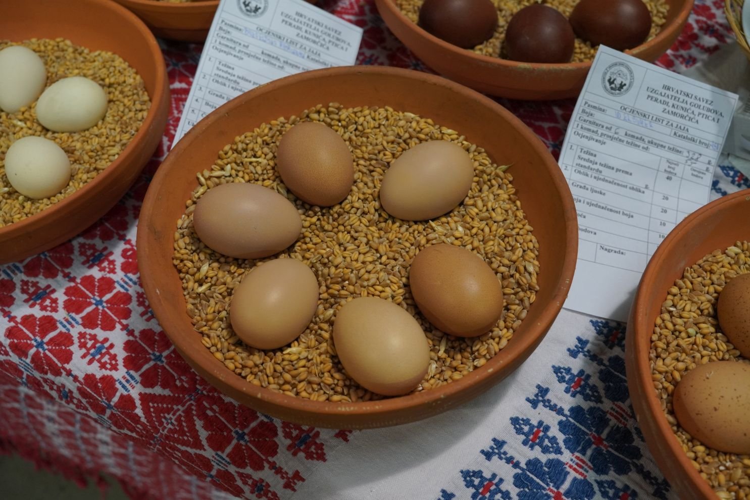 Državna i 49. međunarodna izložba malih životinja Nedelišće (100)