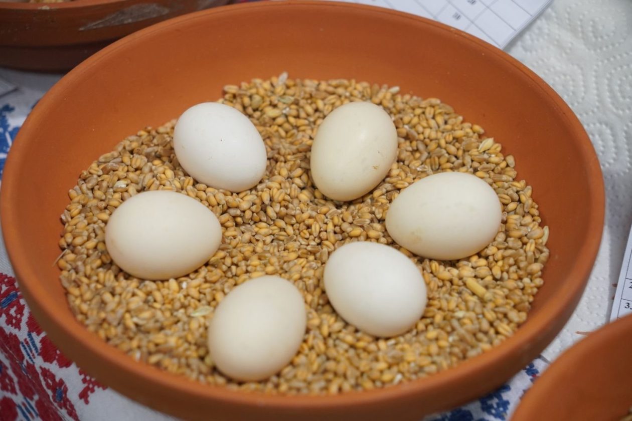 Državna i 49. međunarodna izložba malih životinja Nedelišće (102)