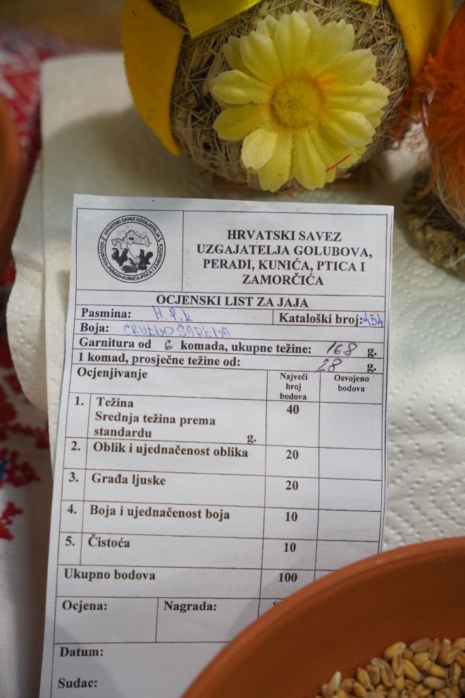 Državna i 49. međunarodna izložba malih životinja Nedelišće (103)