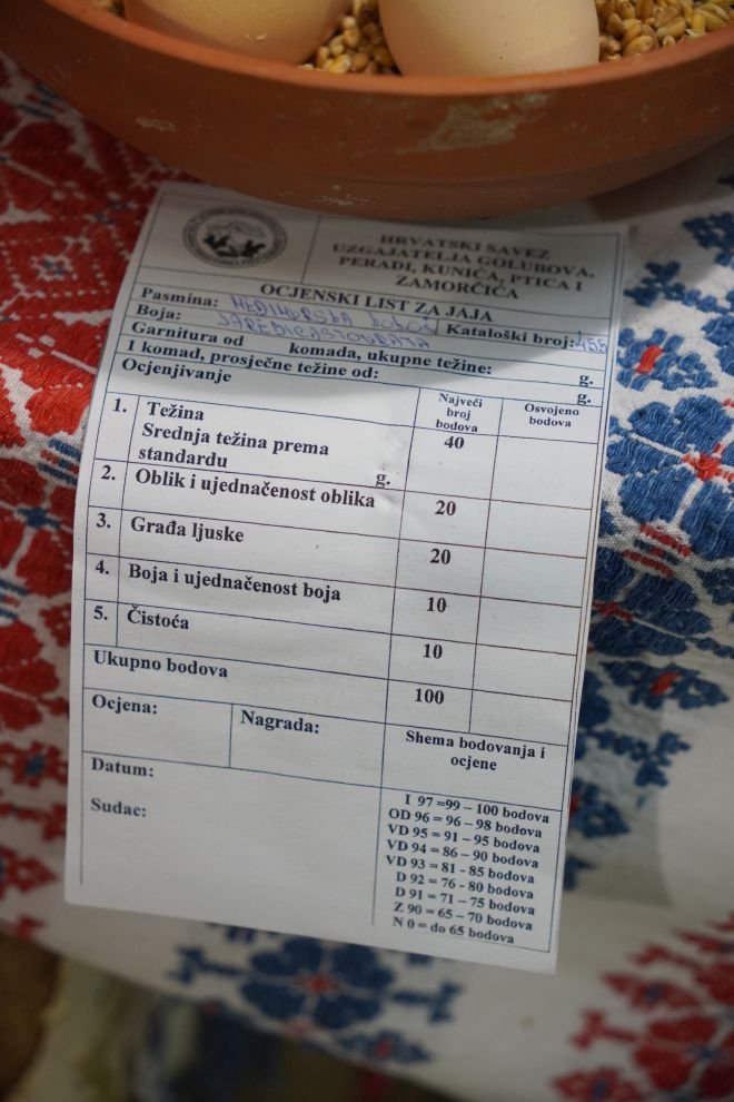 Državna i 49. međunarodna izložba malih životinja Nedelišće (105)