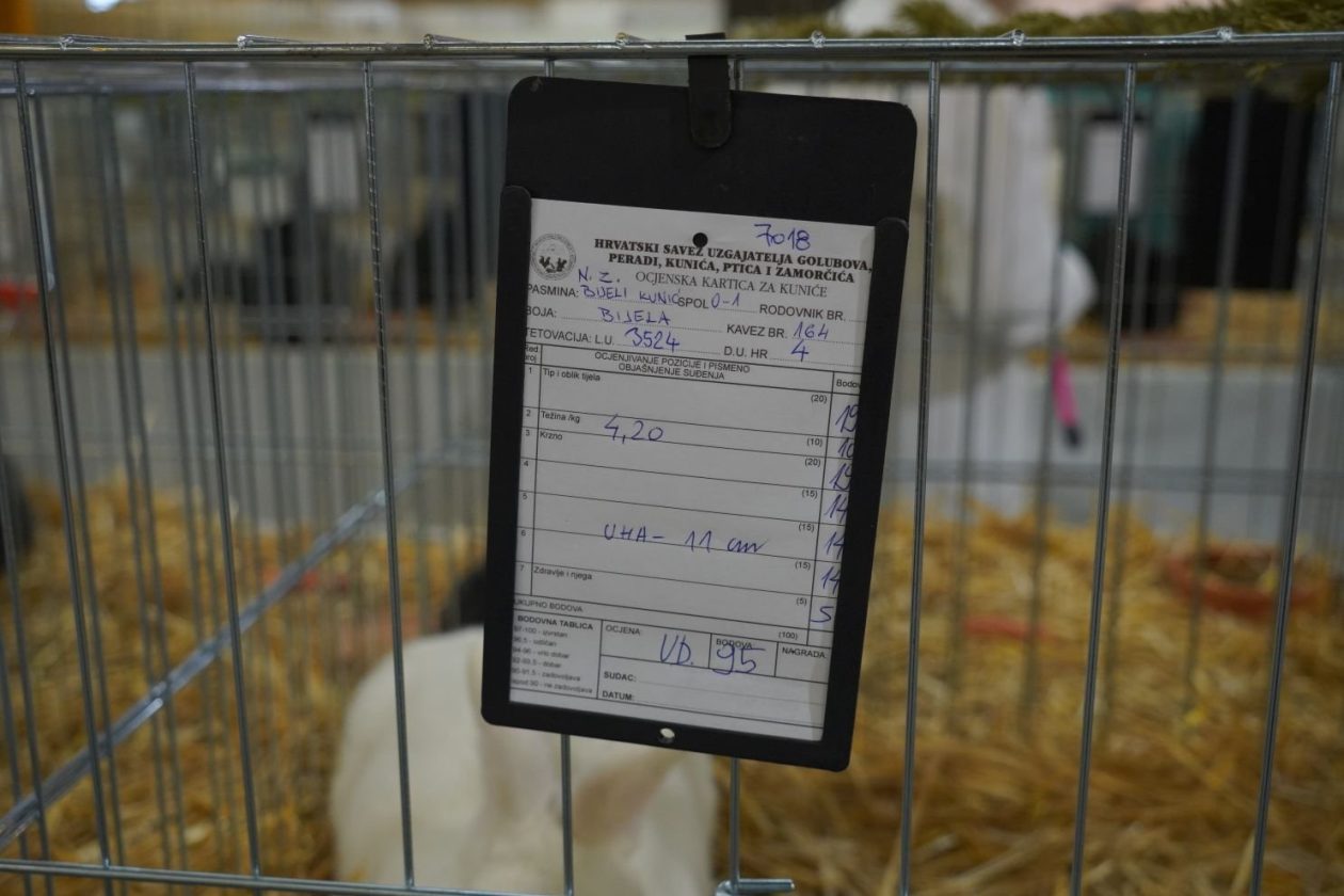 Državna i 49. međunarodna izložba malih životinja Nedelišće (114)