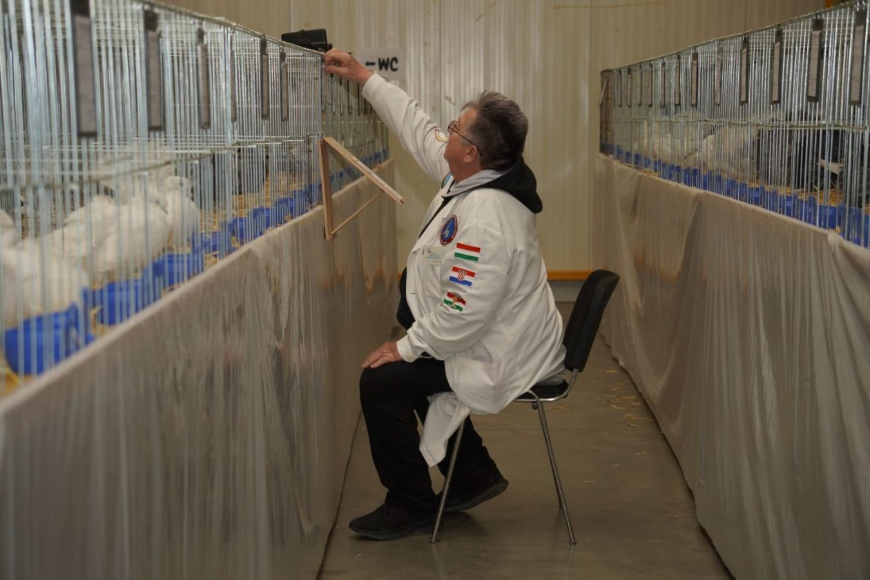 Državna i 49. međunarodna izložba malih životinja Nedelišće (20)