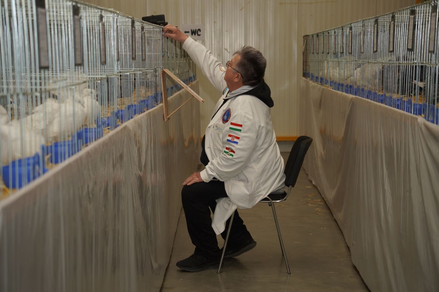 Državna i 49. međunarodna izložba malih životinja Nedelišće (20)