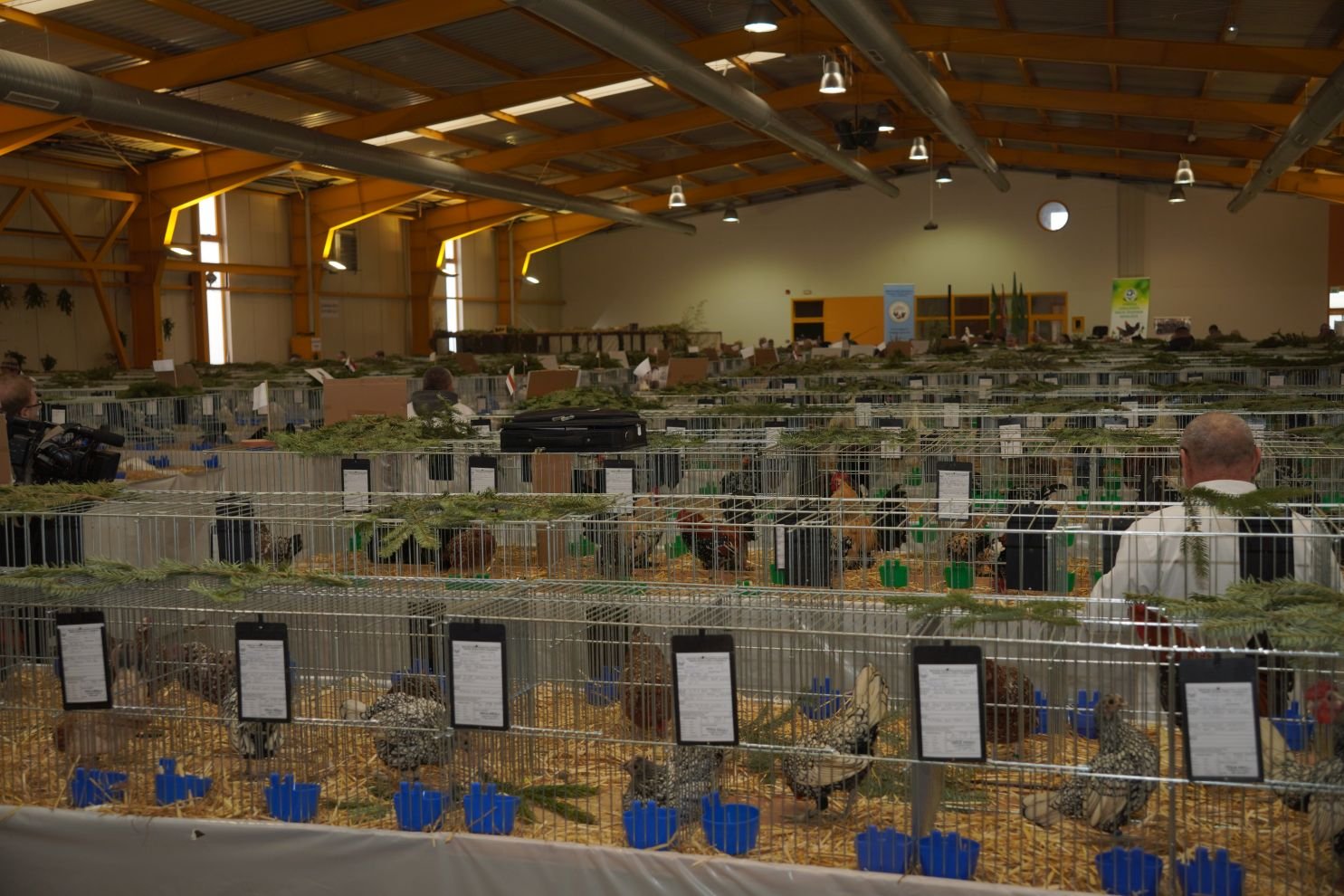 Državna i 49. međunarodna izložba malih životinja Nedelišće (24)