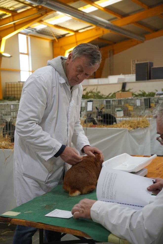 Državna i 49. međunarodna izložba malih životinja Nedelišće (32)