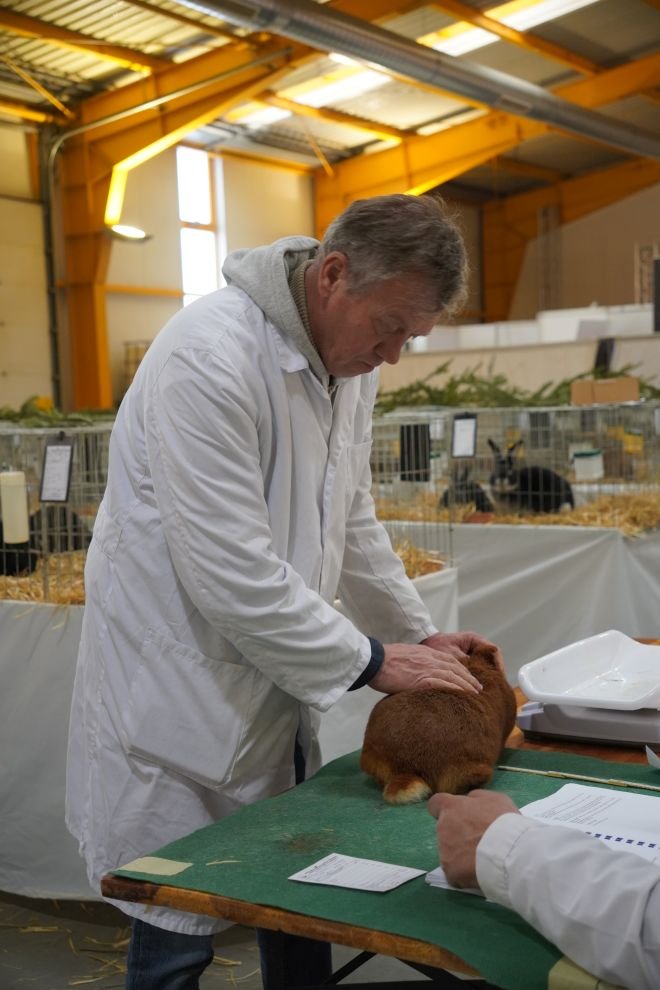 Državna i 49. međunarodna izložba malih životinja Nedelišće (33)