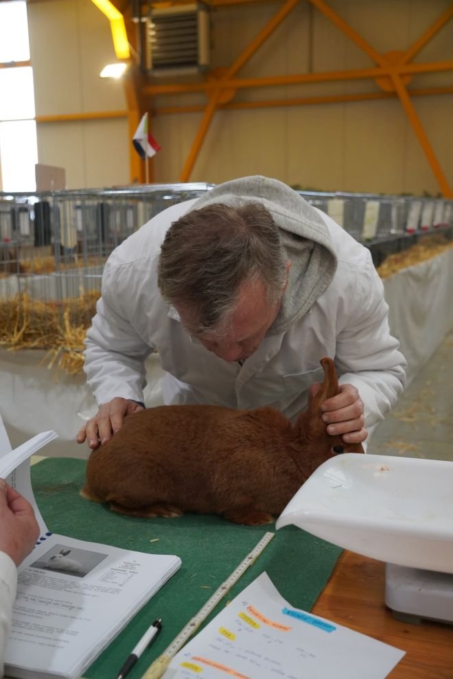 Državna i 49. međunarodna izložba malih životinja Nedelišće (34)