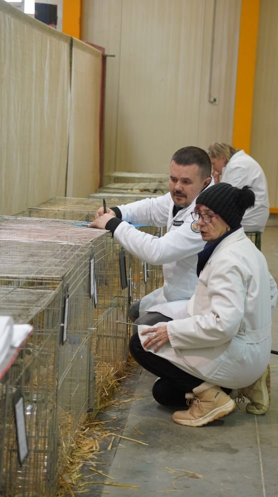 Državna i 49. međunarodna izložba malih životinja Nedelišće (41)