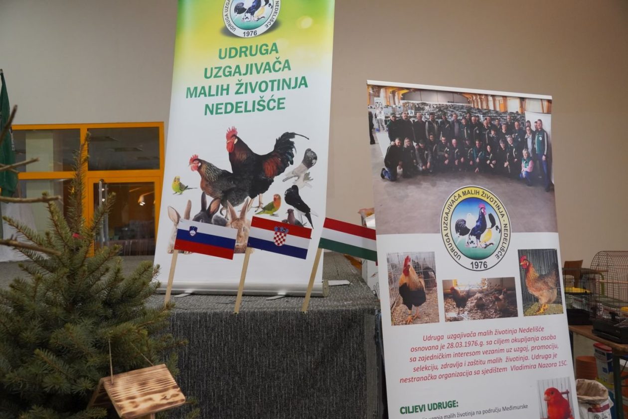 Državna i 49. međunarodna izložba malih životinja Nedelišće (52)