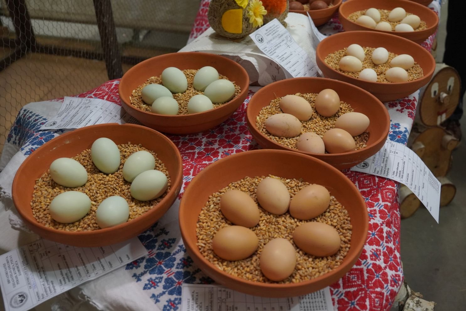 Državna i 49. međunarodna izložba malih životinja Nedelišće (53)