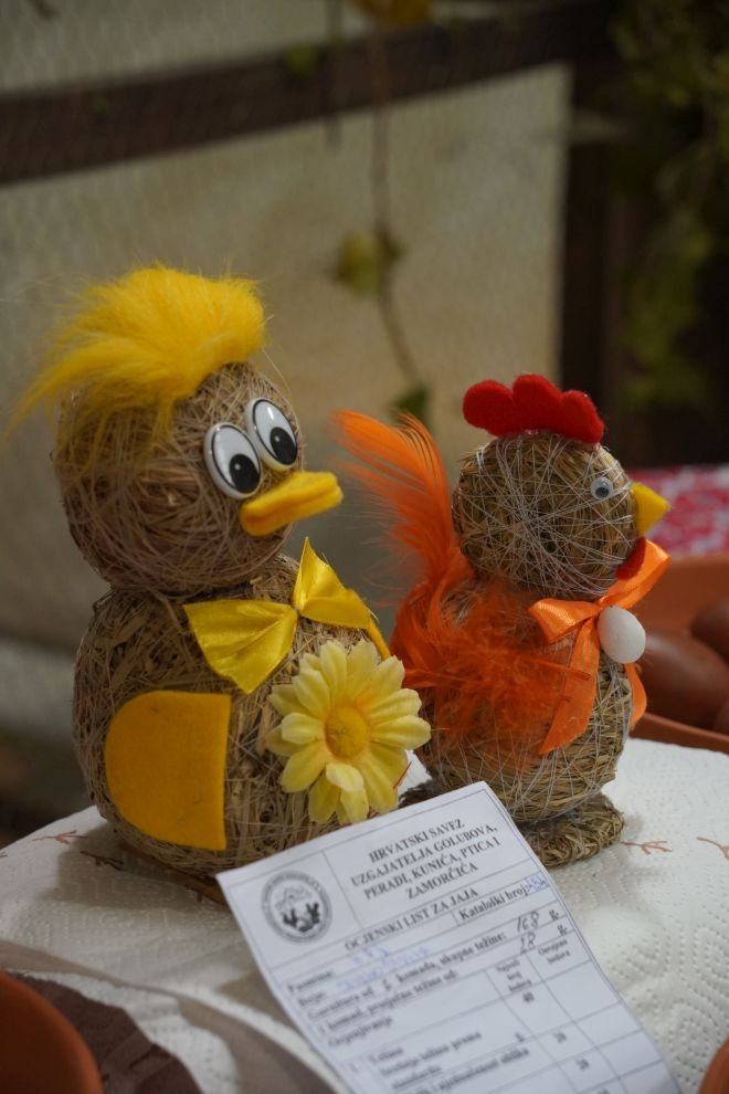 Državna i 49. međunarodna izložba malih životinja Nedelišće (54)