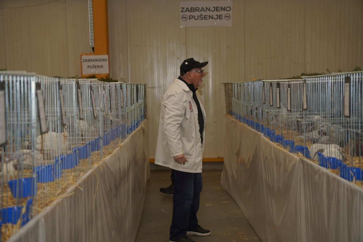 Državna i 49. međunarodna izložba malih životinja Nedelišće (6)