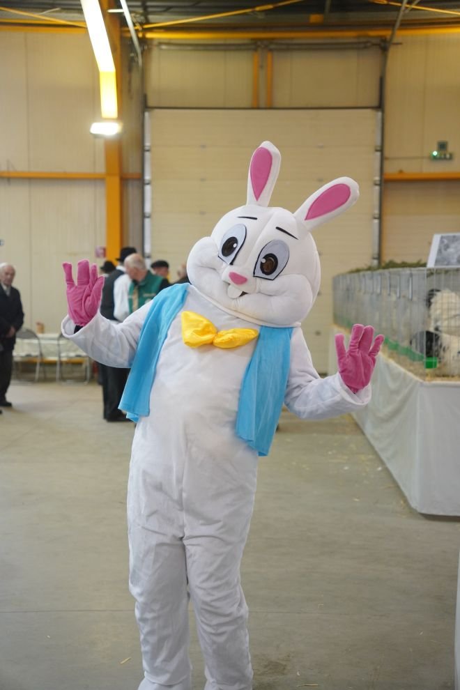 Državna i 49. međunarodna izložba malih životinja Nedelišće (60)