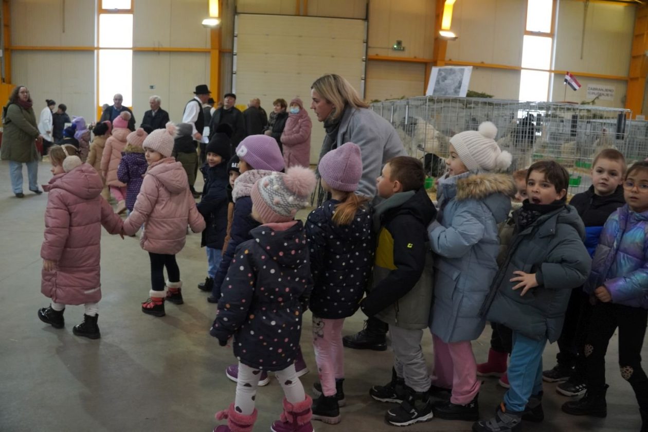 Državna i 49. međunarodna izložba malih životinja Nedelišće (62)