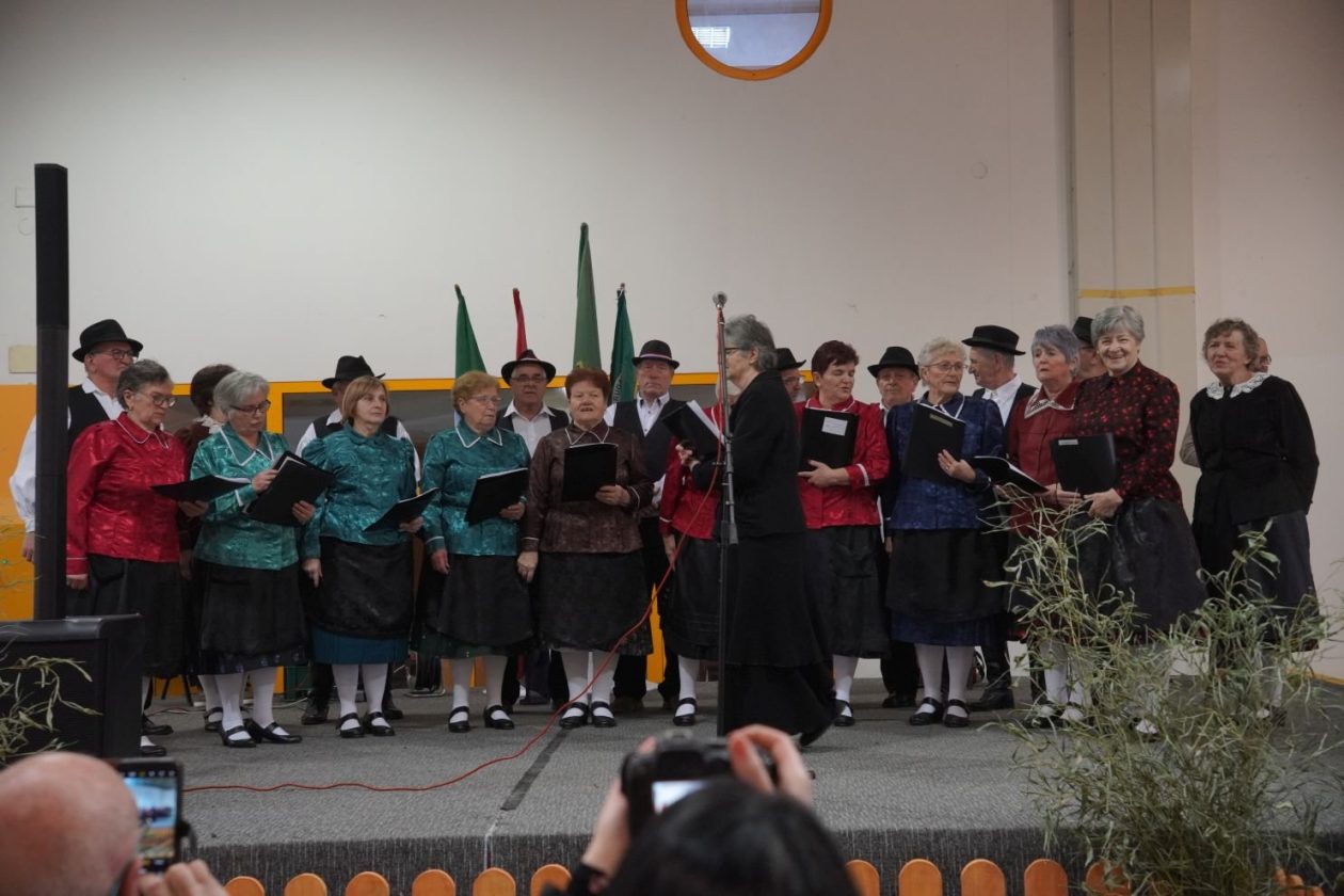 Državna i 49. međunarodna izložba malih životinja Nedelišće (70)