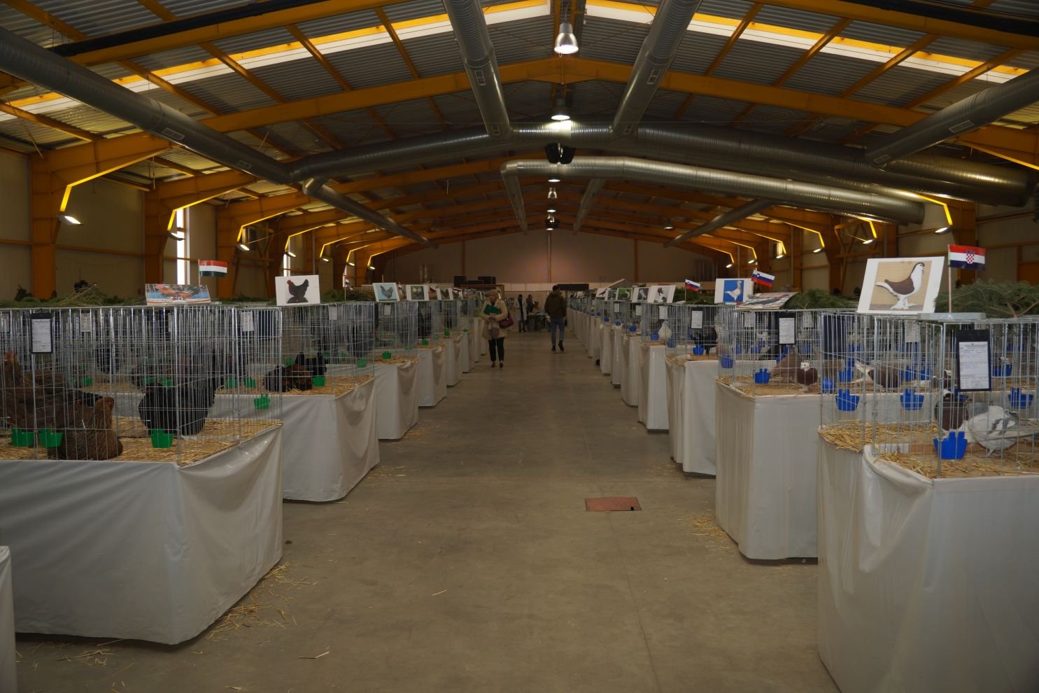 Državna i 49. međunarodna izložba malih životinja Nedelišće (8)