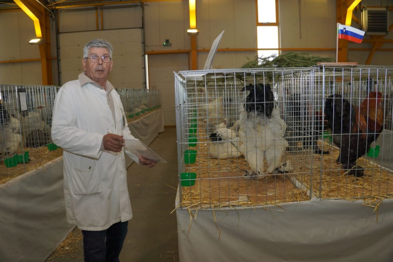 Državna i 49. međunarodna izložba malih životinja Nedelišće (9)