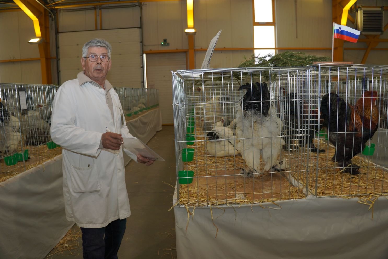 Državna i 49. međunarodna izložba malih životinja Nedelišće (9)