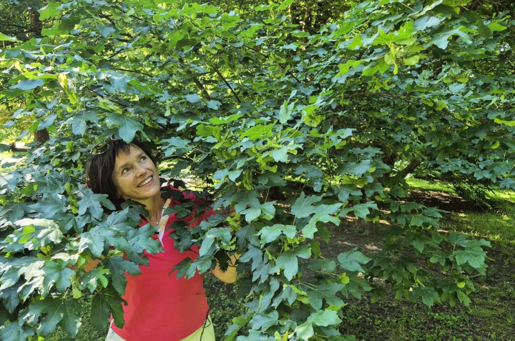 Dunja Bubek – Javor Klen 2025 (2)