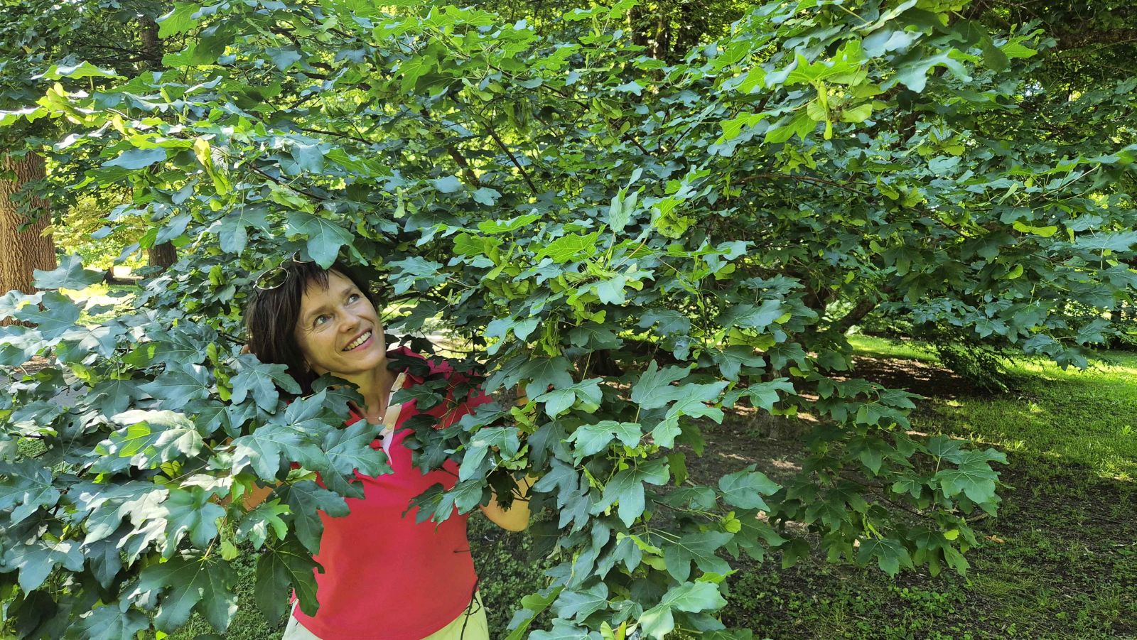 Dunja Bubek – Javor Klen 2025 (2)