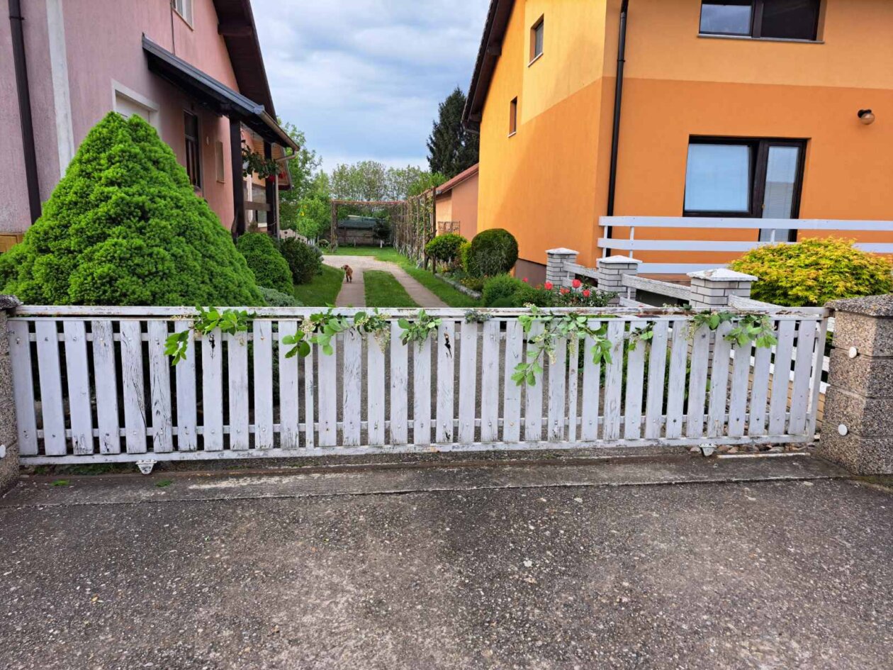 Đurđevdan, jorgovani, dekoracije 2025 (2)