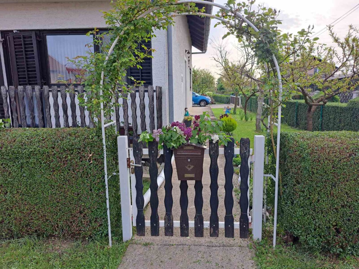 Đurđevdan, jorgovani, dekoracije 2025 (5)