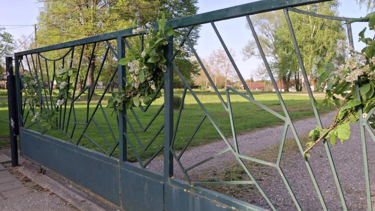 Đurđevdan, jorgovani, dekoracije 2025 (5)