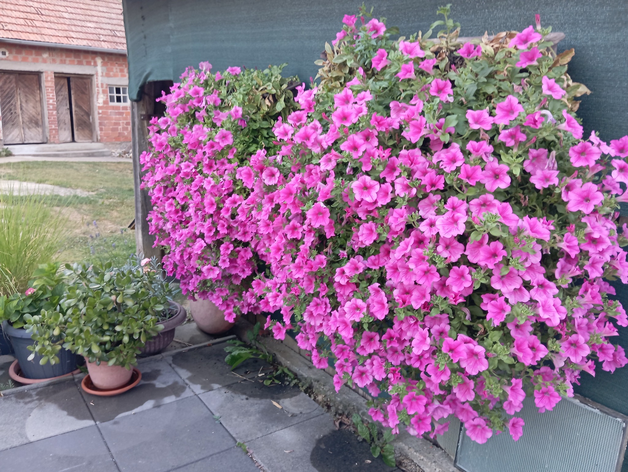 Đurđica Novak 11 Đurđica Novak 11