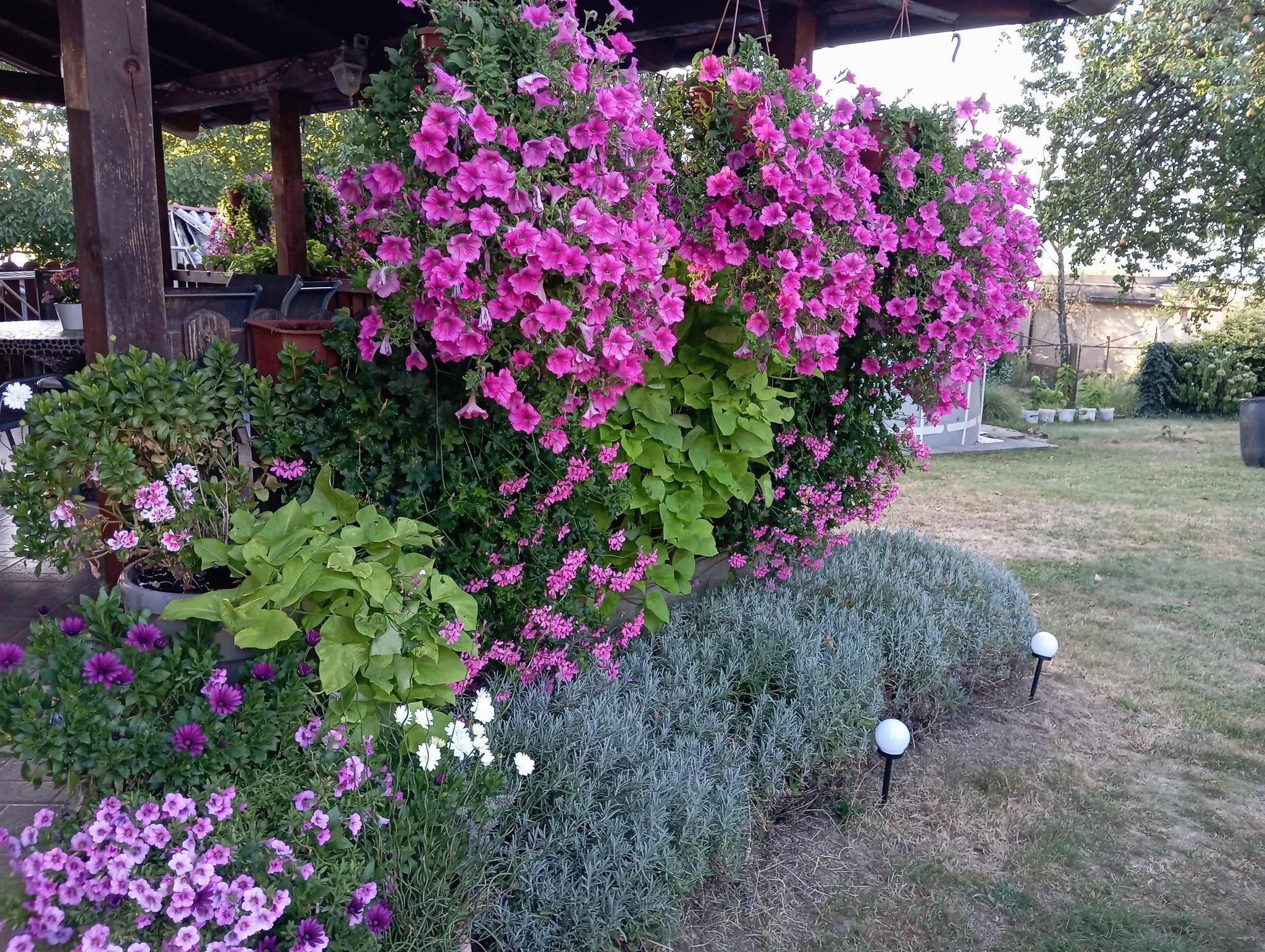 Đurđica Novak 12 Đurđica Novak 12