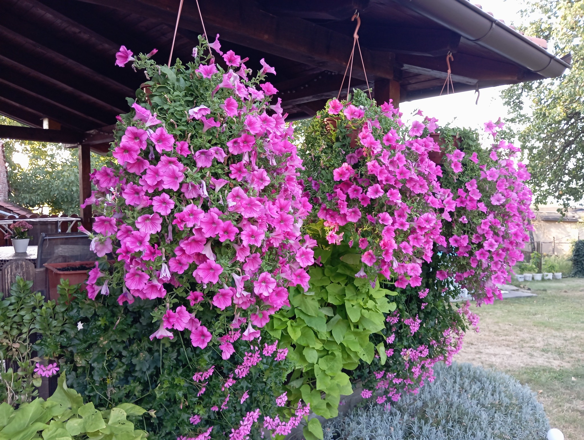 Đurđica Novak 13 Đurđica Novak 13