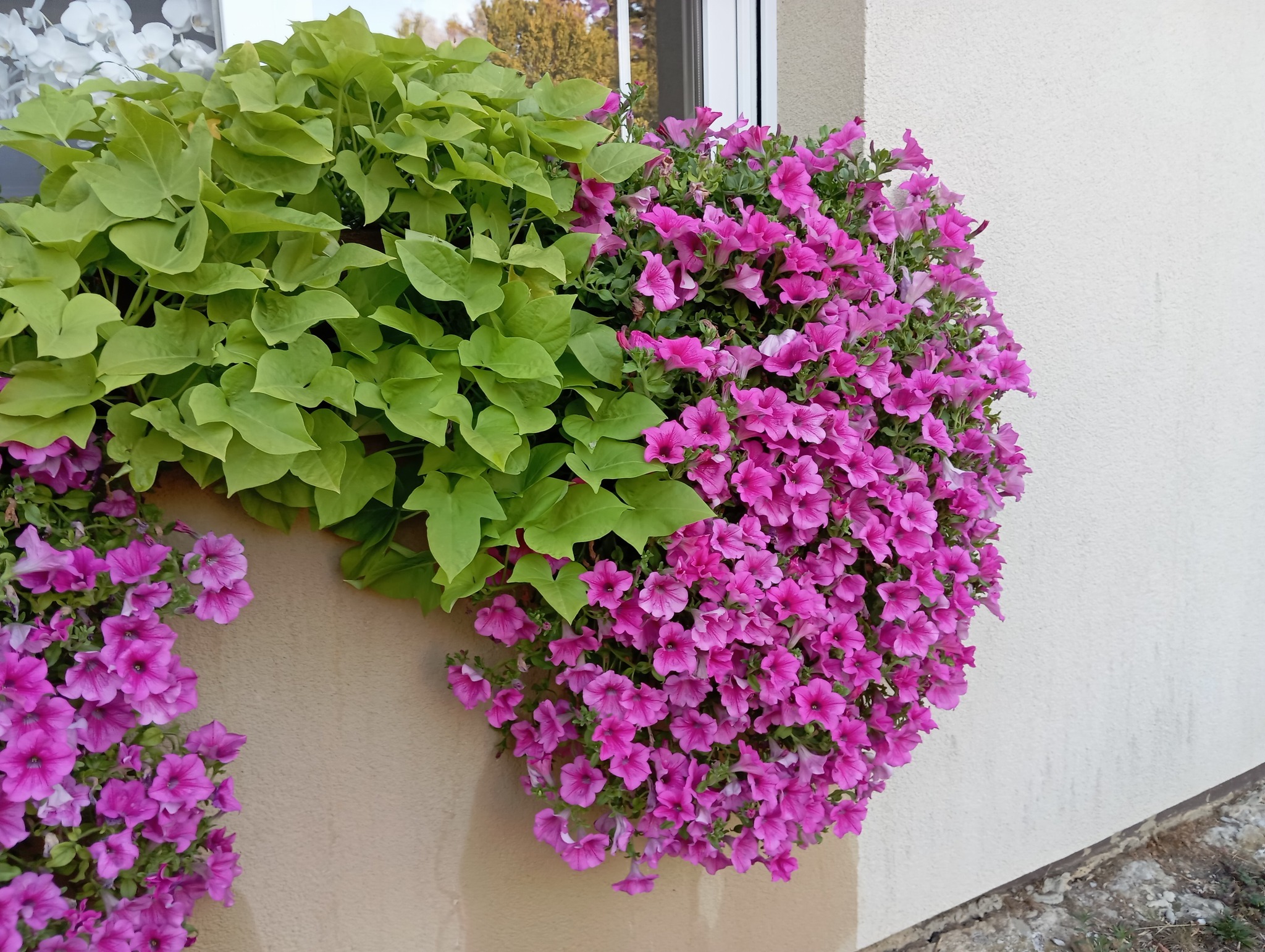 Đurđica Novak 14 Đurđica Novak 14