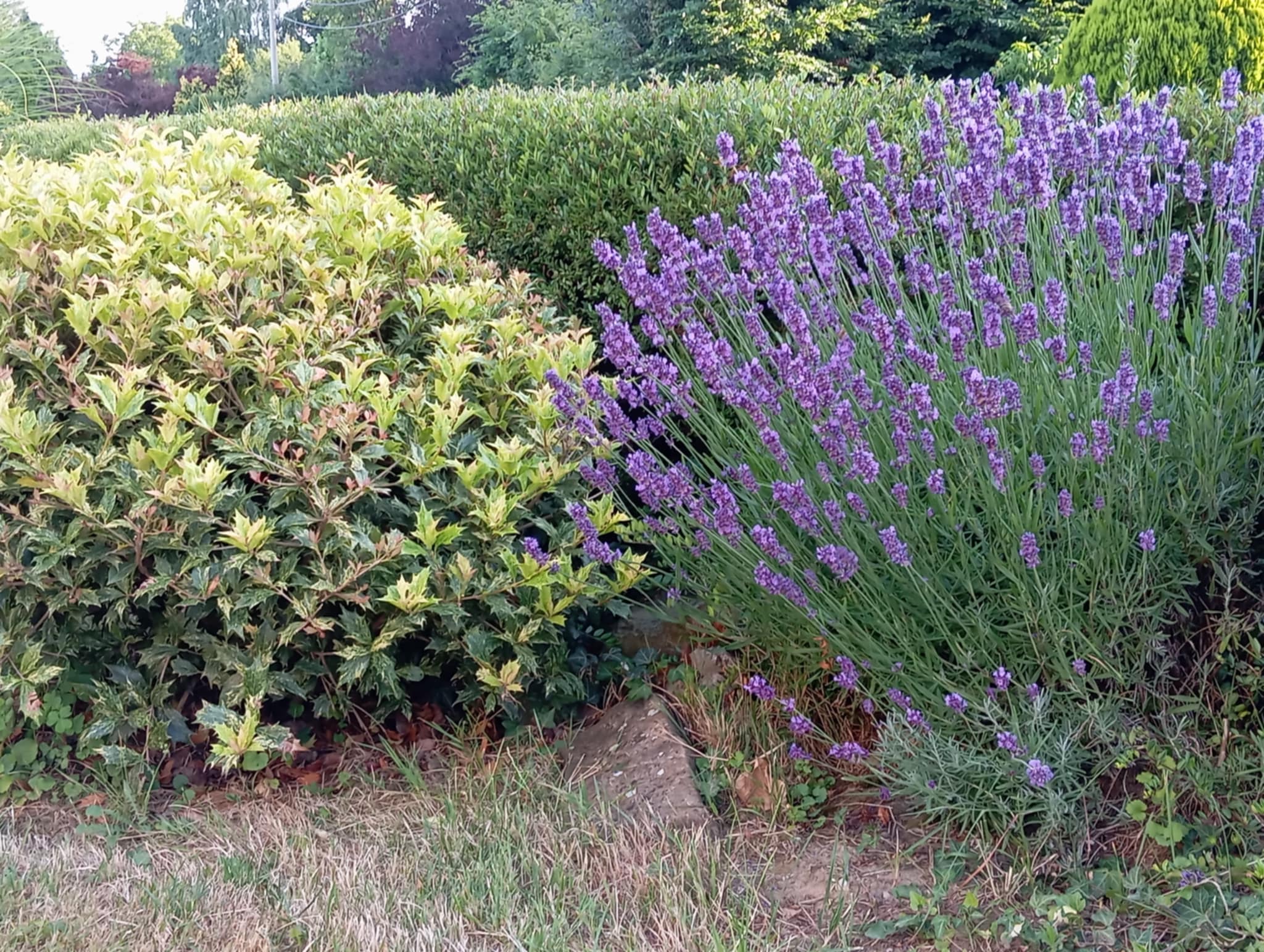 Đurđica Novak 6 Đurđica Novak 6