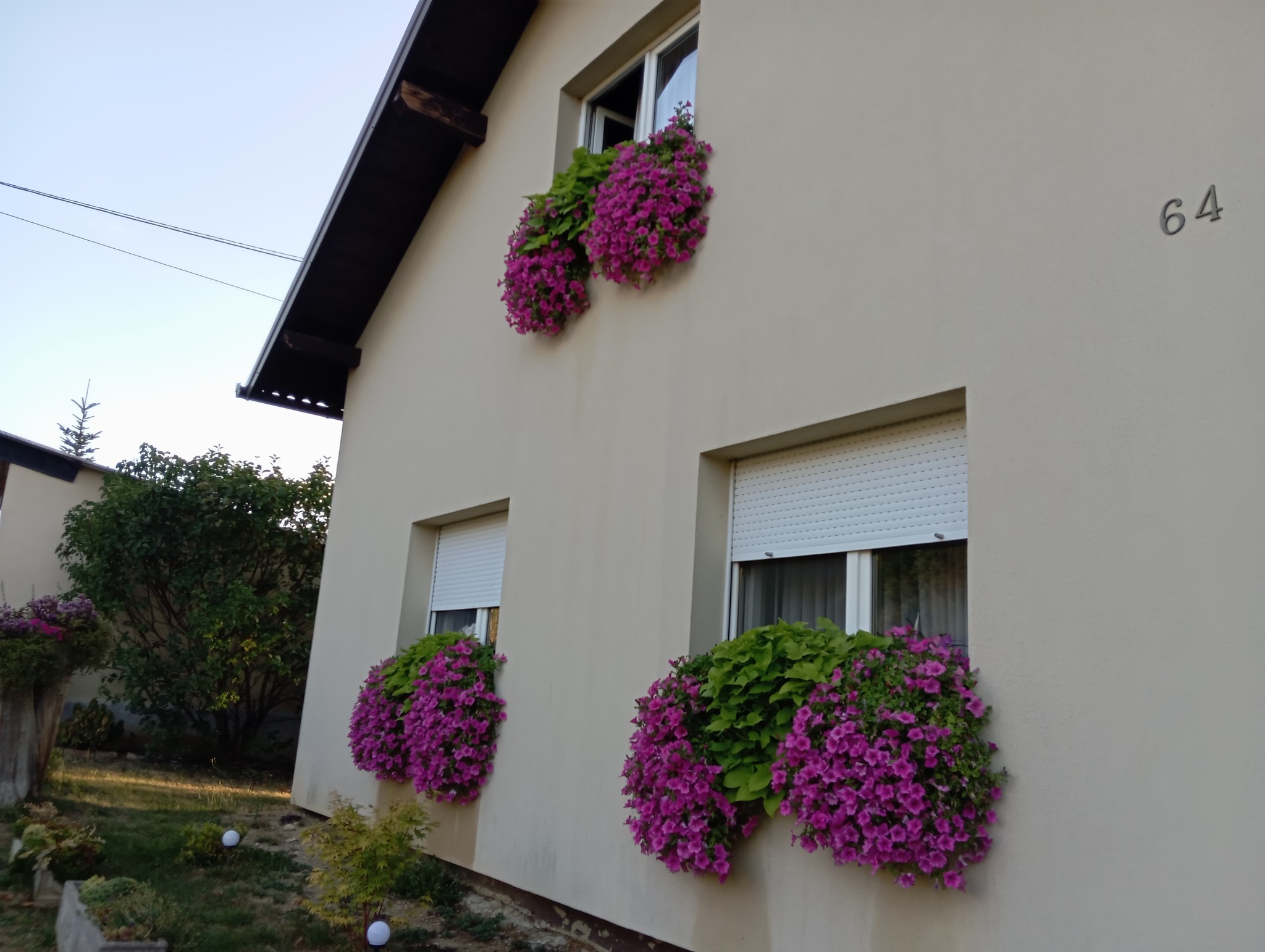 Đurđica Novak 8 Đurđica Novak 8