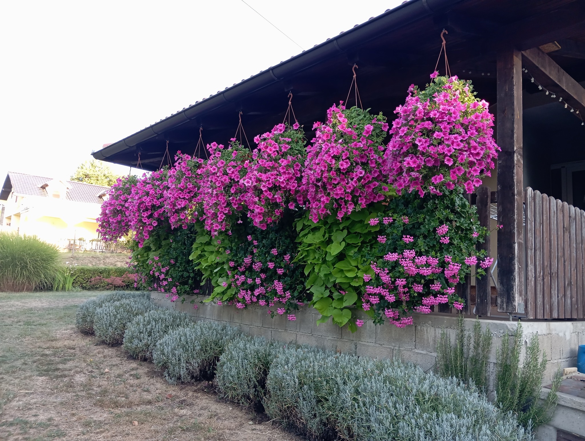 Đurđica Novak 9 Đurđica Novak 9