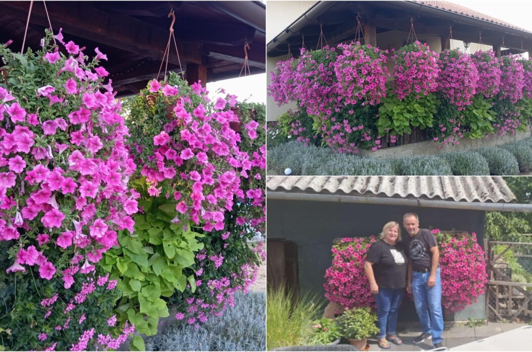 Đurđica Novak naslovna Đurđica Novak naslovna