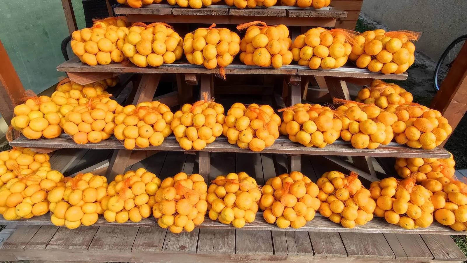 Đurđica Sačer, mandarine Prelog