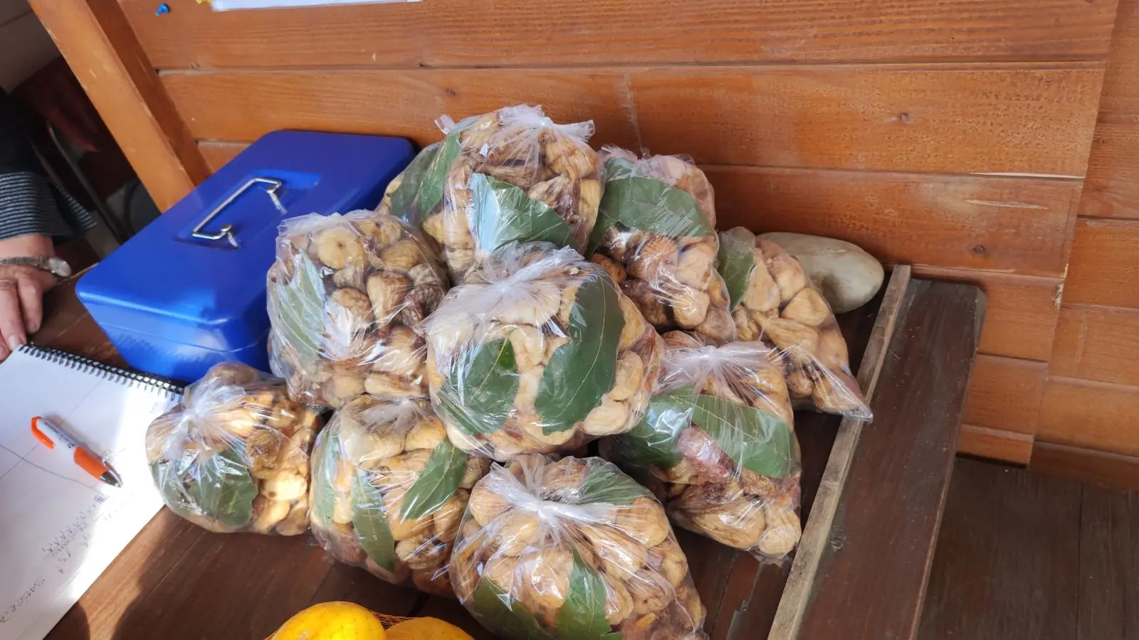 Đurđica Sačer (2)